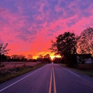 Meet your Posher, Audrey